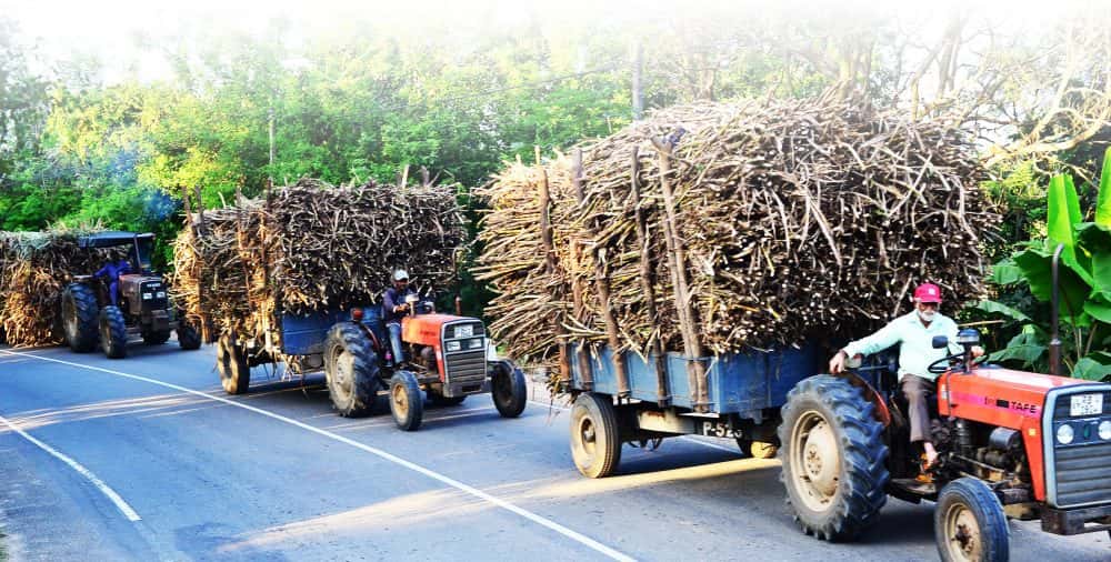Beyond Revival: How a Public-Private Partnership Turned an Abandoned Sugar Factory Into a Regional Lifeline