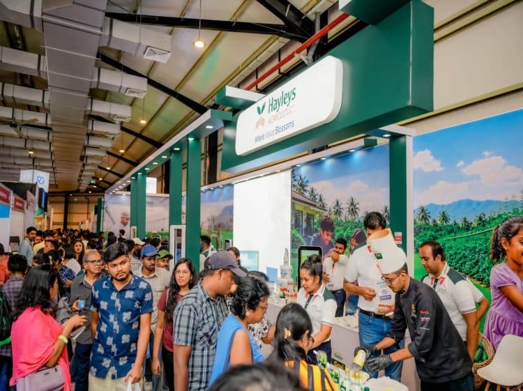 Hayleys Agriculture Launches Grain & Food Processing Machinery Business at ProFood, ProPack & AgBiz 2026