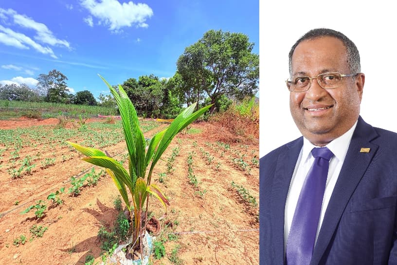 Haycarb PLC and Coconut Cultivation Board support 784 Eastern Province farmers with free seedlings
