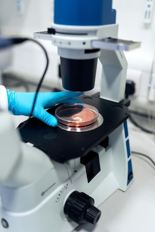 Semax and the Emerging Complexity of Neuroregulatory Peptide Research